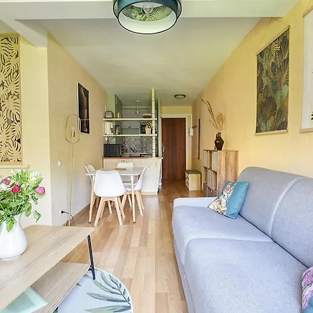 T1 Bis Idealement Situe Au Pied Des Thermes Amelie-les-bains Apartment *