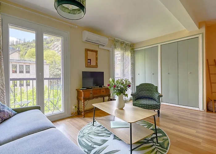 Appartement T1 Bis Idealement Situe Au Pied Des Thermes Amelie-les-bains Amélie-les-Bains-Palalda