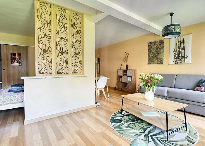 Appartement T1 Bis Idealement Situe Au Pied Des Thermes Amelie-les-bains